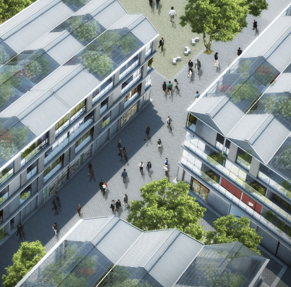 Institución o Empresa